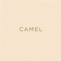 Camel